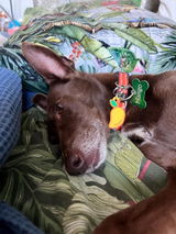 Etsy customer review photo
