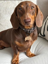 Etsy customer review photo