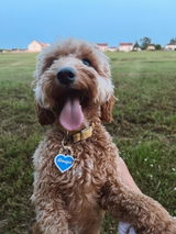 Etsy customer review photo