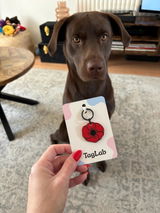Etsy customer review photo