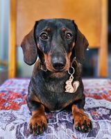 Etsy customer review photo