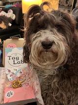 Betsi-bear review photo