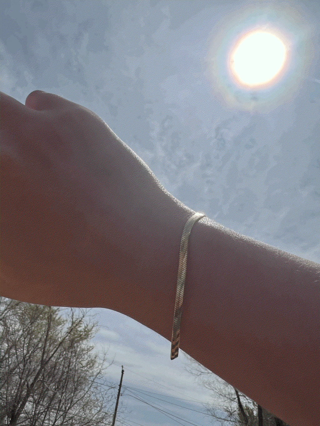 Review photo by Lyndsey Rodell for Herringbone Chain Bracelet