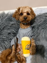 Hankthetoycavoodle review photo