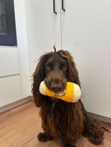 Jett review photo