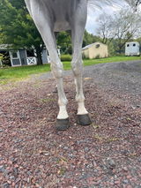 AG review photo