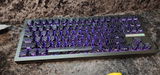 Gatlin Sanchez review photo