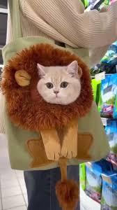 LionPaw Carrier