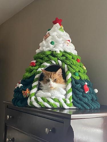 PurrNest Cave