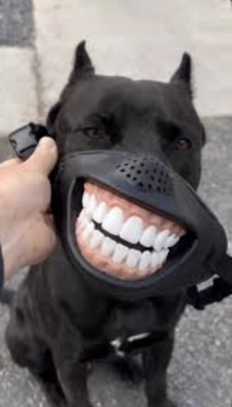 GrinGuard Muzzle