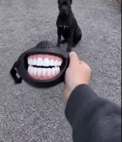 GrinGuard Muzzle