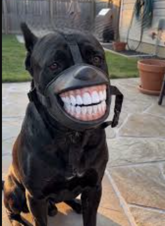 GrinGuard Muzzle