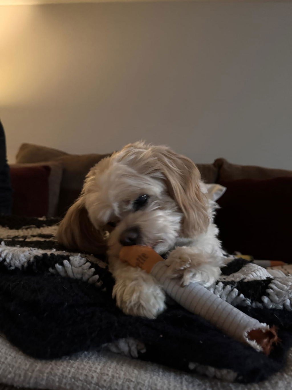 PuffStick Squeaky Toys