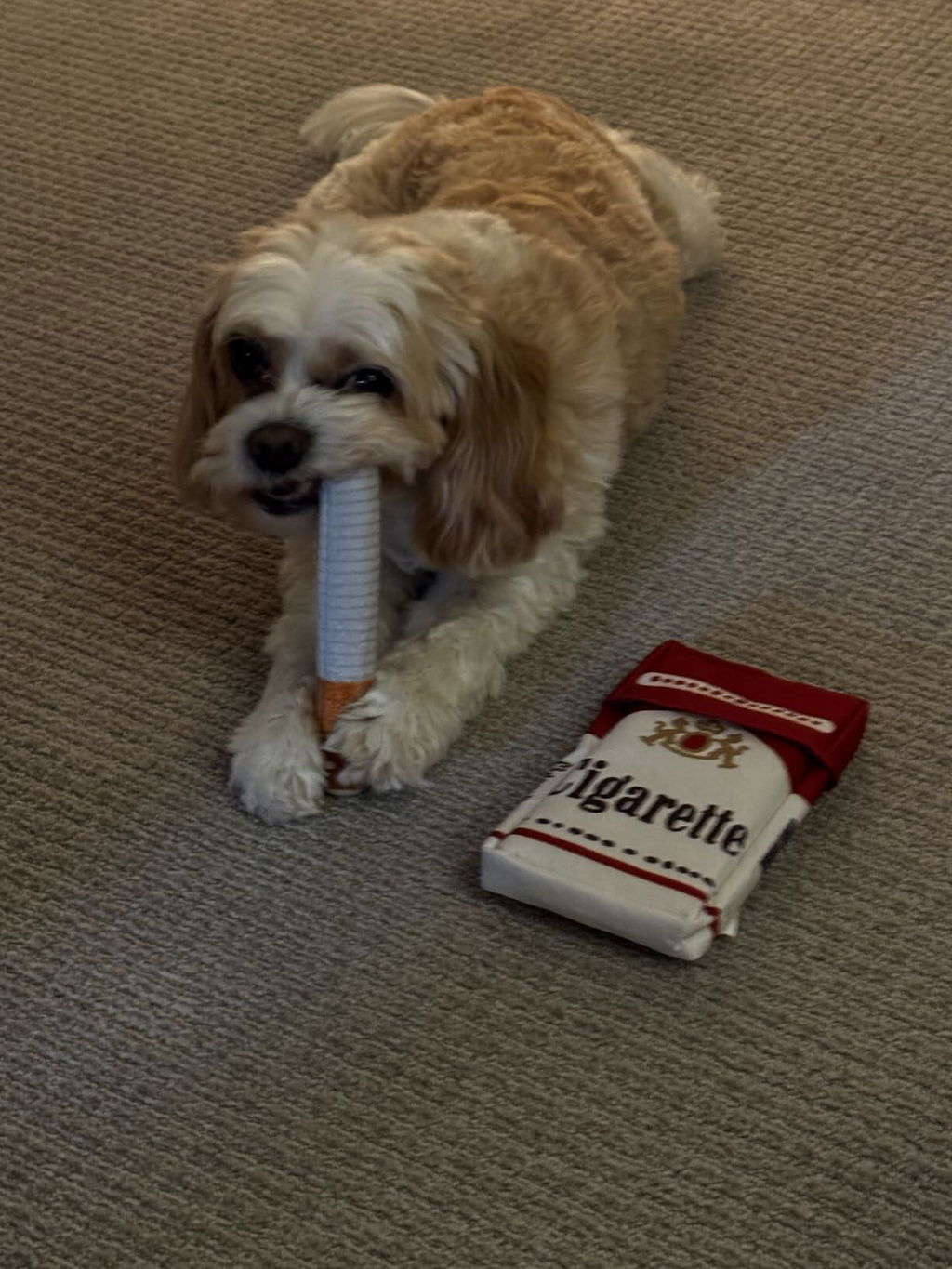 PuffStick Squeaky Toys