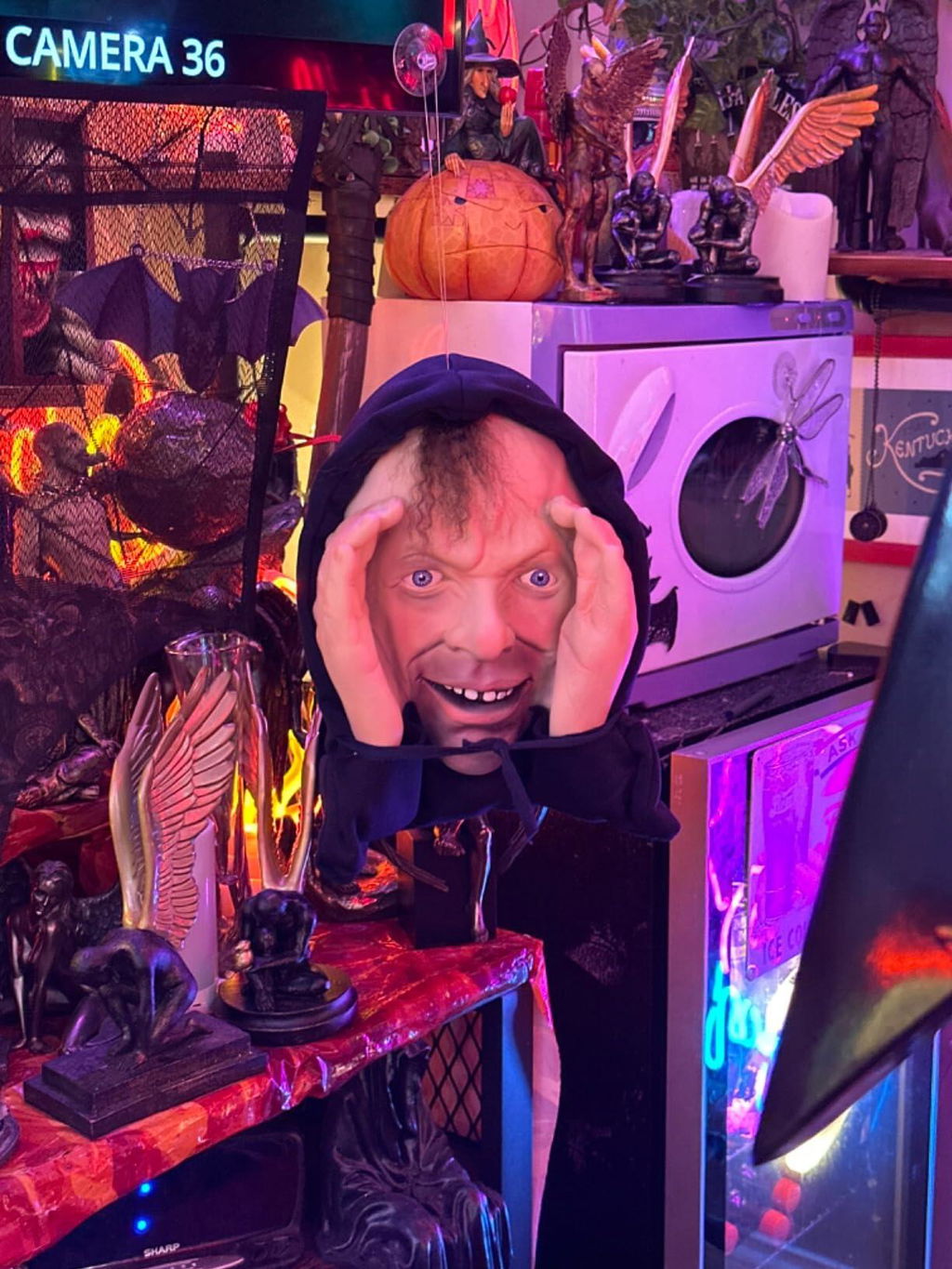 ScaryPeeper Window Prank