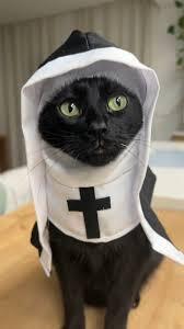HolyPaws Nun Costume
