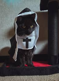 HolyPaws Nun Costume