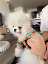 Pablo S review photo