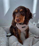 Luna beaux review photo