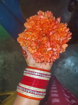 Minakshi review photo