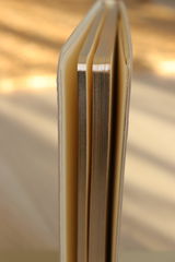 Romain review photo