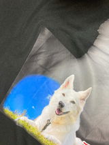 ひま犬 review photo