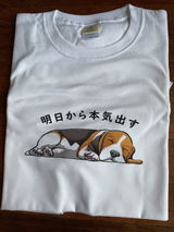 昇吾 山添 review photo
