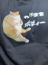 小百合 長澤 review photo