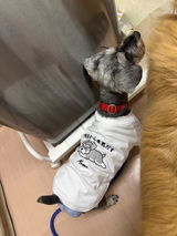 動物関係者 review photo