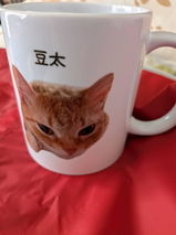 陸人 村上 review photo