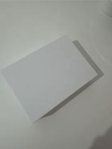 Dorina review photo