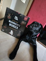 Wauhnachts-Wunder - Adventskalender