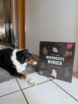Wauhnachts-Wunder - Adventskalender