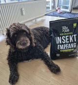 InSektempfang