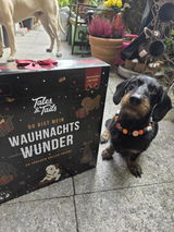 Wauhnachts-Wunder - Adventskalender