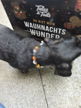 Bo und Ed review photo