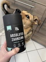 Absoluter ZahnSinn