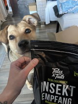 InSektempfang - 1,5kg
