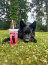 Mom of a GSD review photo
