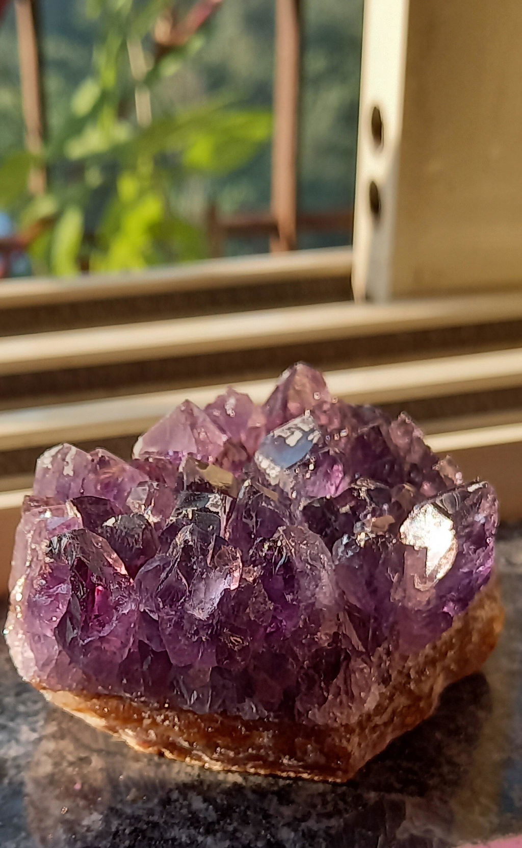 Amethyst Cluster AAA Extra Quality (Intuition and Spiritual Evolution)