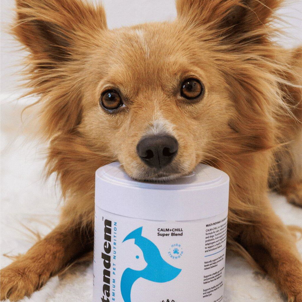 CALM+CHILL Super Blend