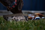 Cole Kucera review photo