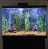 Etsy customer review photo