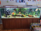 Etsy customer review photo