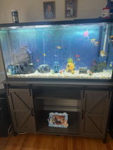 Etsy customer review photo