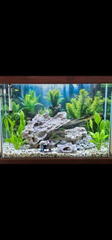 Etsy customer review photo
