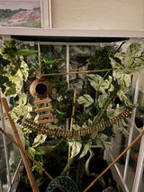 Etsy customer review photo