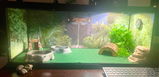Sarah Sutphin review photo