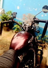 Anamitra review photo