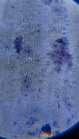 Dr. Deril Joseph review photo